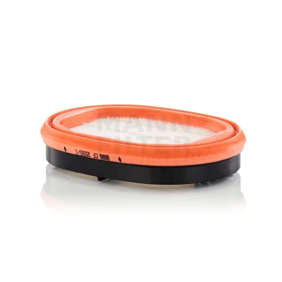 Immagine di MANN FILTER CF 2550/1 Filtro aria secondaria