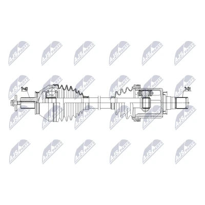 Immagine di Albero motore/Semiasse NTY NPW FR 176