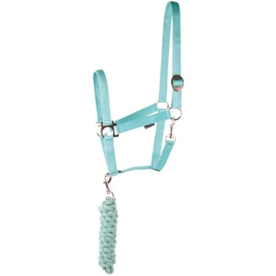 Immagine di Harry&#039;s Horse Halter set iniziale Full Turchese
