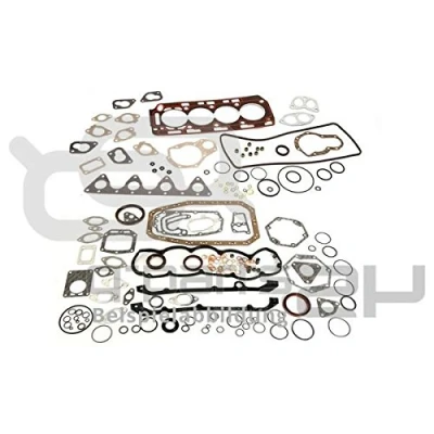 Immagine di REINZ 01 34404 Kit completo guarnizioni, Motore