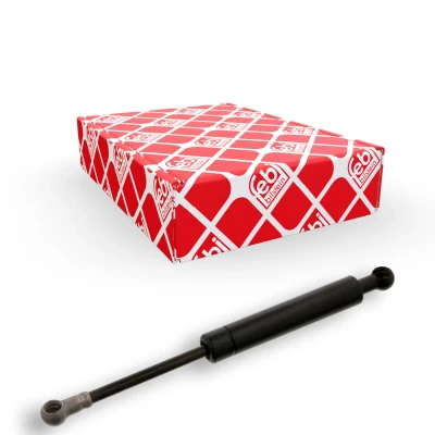 Immagine di FEBI BILSTEIN 06598 Ammortizzatore tiranteria, Impianto iniezione