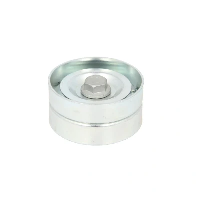 Immagine di BTA B05 02 052 Rullo Tendicinghia
