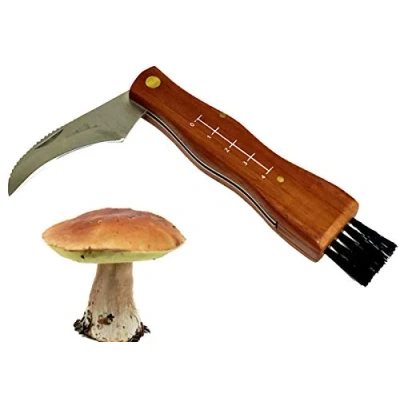 Immagine di Coltello per Funghi a Serramanico, Tascabile, con Spazzola e Righello, Manico in Legno, Lama Acciaio Inox, Fodera Nylon inclusa