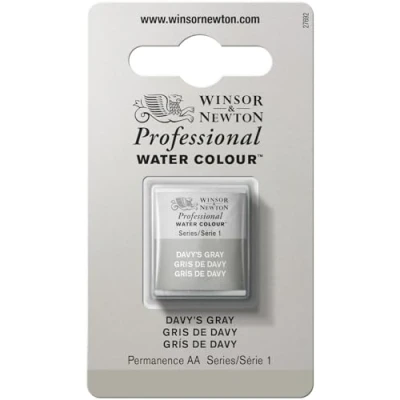 Immagine di Winsor &amp; Newton Professional Vernici ad acquerello, vivaci e resistenti alla luce, pigmenti per artisti, 1/2 GODET, colore: Grigio Di Davy