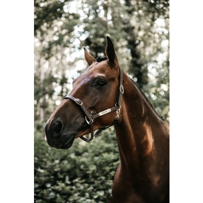 Immagine di Kentucky Leather Halter Flexible