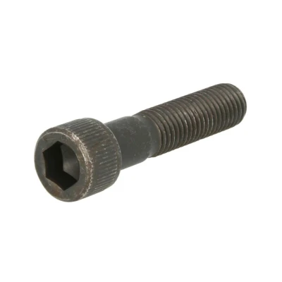 Immagine di DT Spare Parts 1.15219 Bullone / Vite