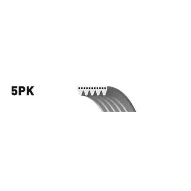 Immagine di SNR CA5PK1115 Cinghia Poly V 1115 5 AUDI: A4 B6 Avant, B7 Q7, TOYOTA: Avensis II Station Wagon, Corolla IX Hatchback, Verso