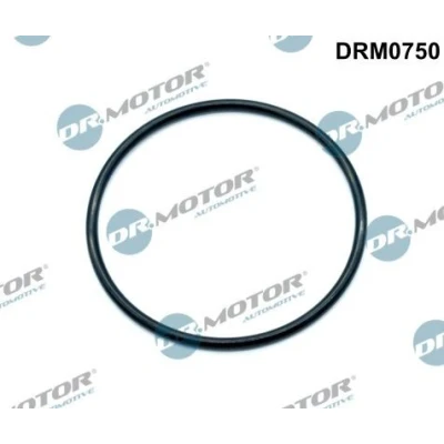Immagine di DR.MOTOR AUTOMOTIVE DRM0750 Guarnizione Collettore Aspirazione Valvola a farfalla EGR