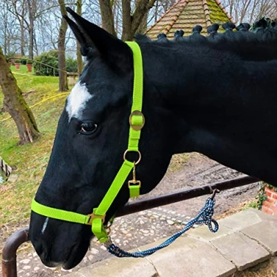 Immagine di Cavezza per Cavallo, Sangue Caldo, Pieno, Freddo stalla, in Vimini, 2 Posizioni Regolabili su sottogola e Collo (Verde Chiaro, Pieno (COB))