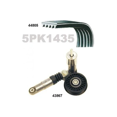 Immagine di MAPCO 73805 Kit cinghie Poly V VOLKSWAGEN: Golf 4, Passat B5 GP Variant, Sedan, AUDI: A4 B6 Avant, A6 C5 Avant