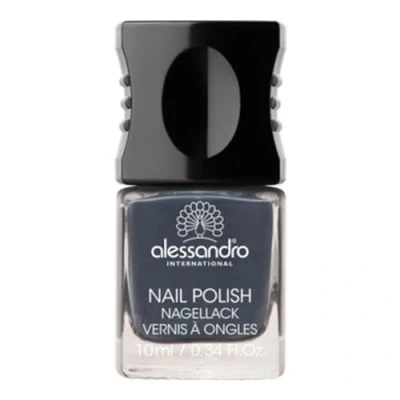 Immagine di vernice grigio standard di Alessandro New York 76, 1er Pack (1 x 10 ml)