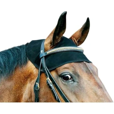 Immagine di Back on Track nek cap