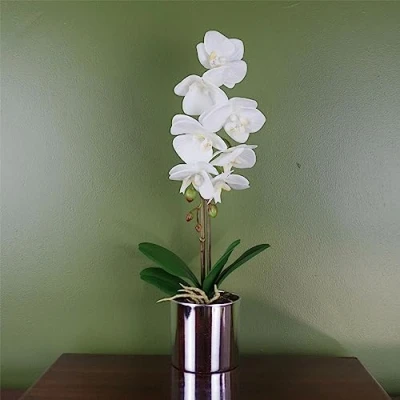 Immagine di Leaf Orchidea artificiale bianca con vaso argentato, 46 cm