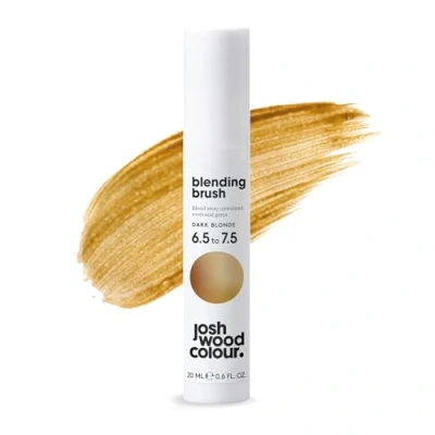 Immagine di Josh Wood Blending Brush (biondo scuro) Pennello per ritocchi con radici grigie coprire la ricrescita tra una colorazione e l&#039;altra, copertura istantanea, temporaneo, si lava via, vegano (20 ml)