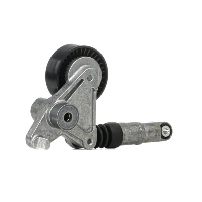Immagine di SKF VKM 31300 Rullo Tendicinghia AUDI: A4 B8 Avant, A6 C6 Sedan, B7 VOLKSWAGEN: Touareg I