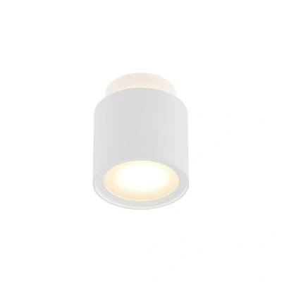 Immagine di Faretto &#039;Walisa&#039; dimmerabile (Moderno) colore Bianco, in Alluminio ad es. Soggiorno &amp; Sala da pranzo (2 luci, GU10) di Arcchio Plafoniera, lampada