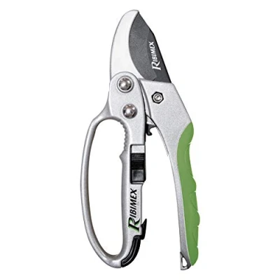 Immagine di RIBIMEX PRSCC08 Forbice curva a cremagliera