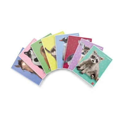 Immagine di Pigna 02325970Q Maxi Quaderni A4 rigatura 10, Confezione da 10 Pezzi