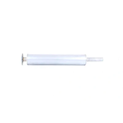 Immagine di WALKER 22853 Silenziatore Centrale 980 con condotto, senza parti annesse