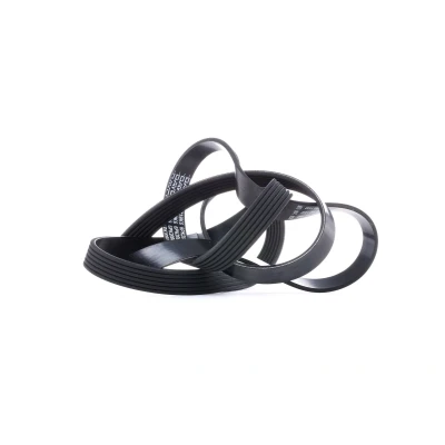 Immagine di Cinghia a V DAYCO 6PK2080
