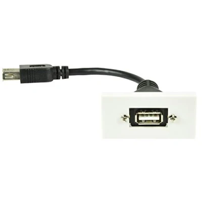 Immagine di AV:Link Modulo piastra da parete USB 2.0 tipo a coda femmina