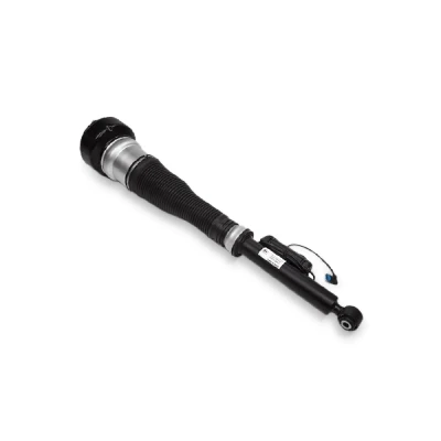 Immagine di Magnum Technology APM001MT Gamba elastica con ammortiz. pneumatico anteriore MERCEDES BENZ: Classe ML, GL, CLS Coupe