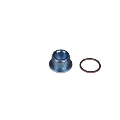 Immagine di BLUE PRINT ADV180105 Tappo Coppa Olio 17 con anello tenuta VOLKSWAGEN: TRANSPORTER 4 Bus, Passat B5 Variant, Sharan I, AUDI: A4 Sedan, A8 D2