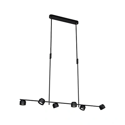 Immagine di Paulmann Puric Pane I 79774 Lampada LED a sospensione (monocolore) 48 W Nero