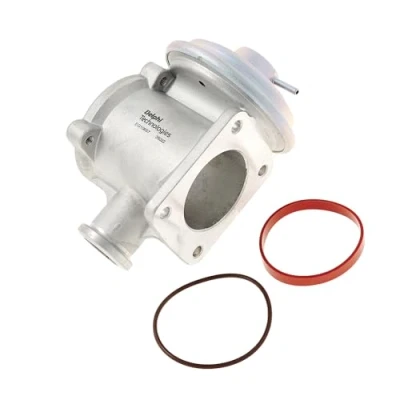 Immagine di DELPHI EG10657 12B1 Valvola EGR senza guarnizioni, radiatore