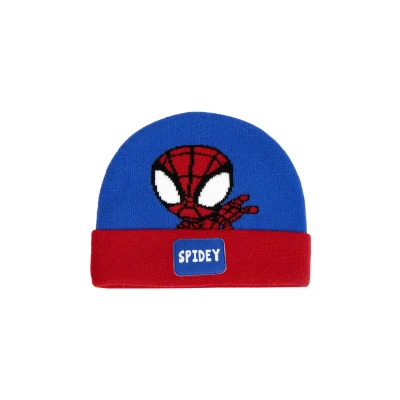 Immagine di Disney Spidey Berretto per bambini, Taglia: One Size, Multi coloured