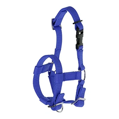 Immagine di Kerbl Cavezza alpaca per tutti i tipi di alpaca, chiusura a clip, misura regolabile, blu