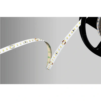 Immagine di Barthelme 51542234 Striscia LED 24 V 5000 mm Bianco freddo 5 m