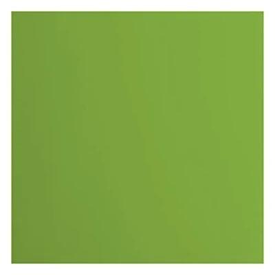 Immagine di Cartoncino Florence Liscia Materiali per Biglietti colorati 30,5 x cm Frog 20 Fogli Carta Scrapbooking, Biglietti, Fustellatura e Progetti con 216 gsm Verde