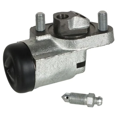 Immagine di DELPHI LW30361 Cilindretto Freno 29 senza regolatore integrato