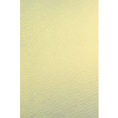 Immagine di Netuno 100 cartoncini perlati avorio con motivo mare formato A4 210x 297 mm 250g Aster Metallic Gold Ivory Sea perlescenti per inviti matrimonio compleanno comunione battesimo