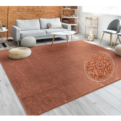 Immagine di Tappeto per Soggiorno Tinta Unita Semplice e Moderno Pelo Corto, DIV. Misure Colori, Dimensione:140x200 cm, Colore:Rame