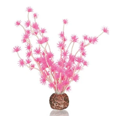 Immagine di BiOrb Palla per bonsai, colore: Rosa