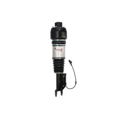 Immagine di Magnum Technology APM002MT Gamba elastica con ammortiz. pneumatico anteriore Sx MERCEDES BENZ: CLS Coupe, Classe E T modell, Sedan