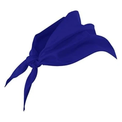 Immagine di Velilla 404003/C/TU Fazzolettone triangolare (moderno), blu 0,4, 404003/C9/TU