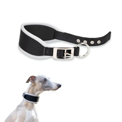 Immagine di Ferplast Collare Cane ERGOCOMFORT, per Levriero, Soffice imbottitura, Argento