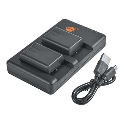 Immagine di VW VBY100 (2 pezzi) Batteria di ricambio ricaricabile e doppio caricatore compatibile con HC V110, V130, V160, V201, ecc
