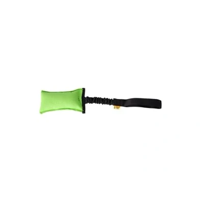 Immagine di Dingo Giocattolo da Agility per Cani Allenamento, Sport Acquatici, Gioco di Tira e Molla, 15 x 8 cm, Blu con Manico Elastico Rosa 15592