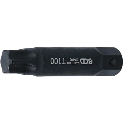 Immagine di Punta longitud 100 mm entrada 22 perfil en T (para Torx) T100