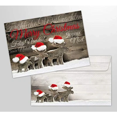 Immagine di Edition Colibri 10 cartoline di Natale ALCE con busto pezzi uguali, cartonline auguri nostalgici pieghevoli in set busto. Formato: DIN A 6 (14,8 x 10,5 cm)