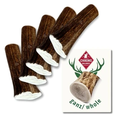 Immagine di ChronoBalance® (XS Set di 5 Corna Cervo per Cani (Pezzi Interi) Bastoncino da Masticare Naturale, Osso Cervo, Giocattolo Lunga Durata, Cura dei Denti, Sostenibile Sicuro, Snack Nutriente