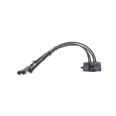 Immagine di DELPHI CE20017 12B1 Bobina d&#039;accensione 3 12 RENAULT: CLIO 2, Kangoo I, TWINGO 1