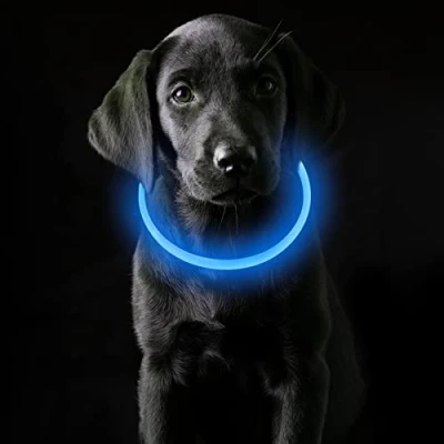 Immagine di Coolzon Collare Luminoso per Cani USB Ricaricabile, Cane Impermeabile con 3 Modalità Di Luce, Regolabile LED Gatti Taglia Piccola Media Grande,Blu