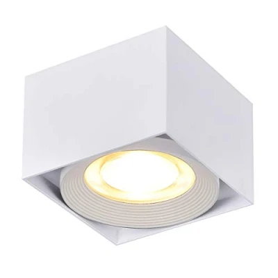Immagine di Dr.lazy 10W LED Spot light Faretti da soffitto,Faretto Lampada,plafoniera faretto,Lampade Orientabili,Faretti muro,10x10x7CM (Bianco 3000K)