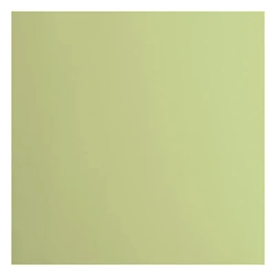 Immagine di Cartoncino Florence Liscia Materiali per Biglietti colorati 30,5 x cm Anise 20 Fogli Carta Scrapbooking, Biglietti, Fustellatura e Progetti con 216 gsm Verde