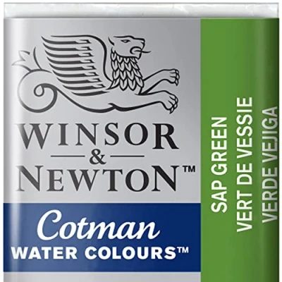 Immagine di Winsor &amp; Newton 301696 Cotman Colori Acquerello, Viridian, Verde (Sap Green), 1.9x1.6x1.1 cm, 1 unità